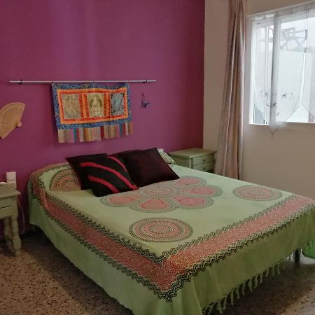 Apartament Lo Flamenc 2 @Amposta Zewnętrze zdjęcie